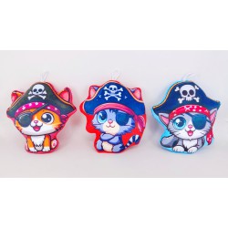 Pirate cat