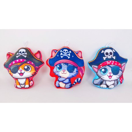 Pirate cat